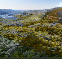 Gold Coast Hinterland Great Walk - Accommodation Coffs Harbour