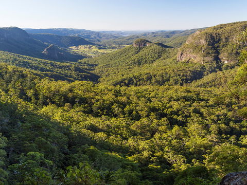 Gold Coast Hinterland Great Walk - Accommodation Coffs Harbour 0