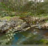 Gorge Walking Track - Accommodation Coffs Harbour