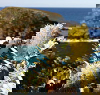 Green Island Walking Track - Accommodation Coffs Harbour