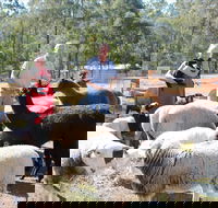 Haigslea EWE Nique Hobby Farm - Accommodation Coffs Harbour