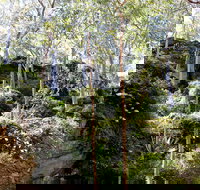 Haunted Point Loop Walk - Accommodation Coffs Harbour