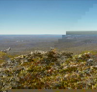 Jerrawangala National Park - Accommodation Coffs Harbour