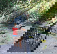 Josephine Falls walking track Wooroonooran National Park - Accommodation Coffs Harbour