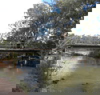 Junction Island Nature Reserve Canoe Tree and Walking Track - Accommodation Coffs Harbour