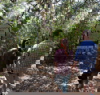 Kaluna Park - Accommodation Coffs Harbour