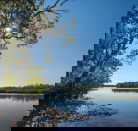 Karuah River National Park and Nature Reserve - Accommodation Coffs Harbour