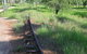 Katherine Railway Trestle Bridge - thumb 2