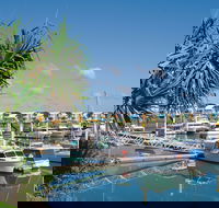 Keppel Bay Fishing Adventure - Accommodation Coffs Harbour