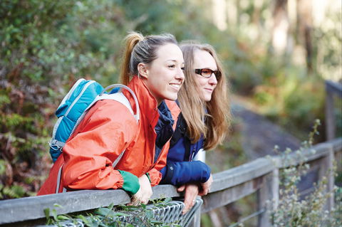 Kinglake National Park - Accommodation Coffs Harbour 2