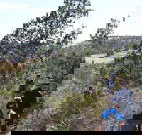 Kinchina Conservation Park - Accommodation Coffs Harbour