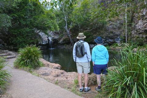 Kondalilla Falls Circuit, Kondalilla National Park - Accommodation Coffs Harbour 1