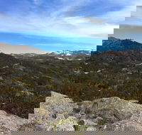 Kosciuszko National Park Charlottes Pass to Snowy River - Accommodation Coffs Harbour