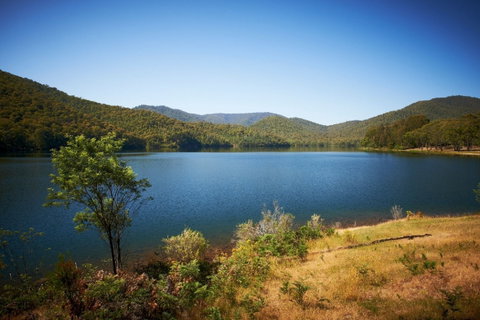 Lake William Hovell Recreation Area - Accommodation Coffs Harbour 0