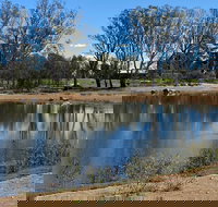 Lake King Wetlands at Rutherglen - Accommodation Coffs Harbour
