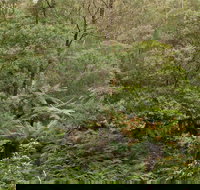 Lind National Park - Accommodation Coffs Harbour