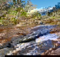Little Dandahra Creek Walking Track - Accommodation Coffs Harbour