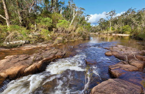Little Dandahra Creek Walking Track - Accommodation Coffs Harbour 0