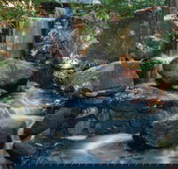 Mackay Regional Botanic Gardens - Accommodation Coffs Harbour