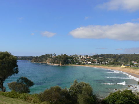 Malua Bay Beach - Accommodation Coffs Harbour 1