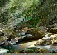 Maleny - Accommodation Coffs Harbour