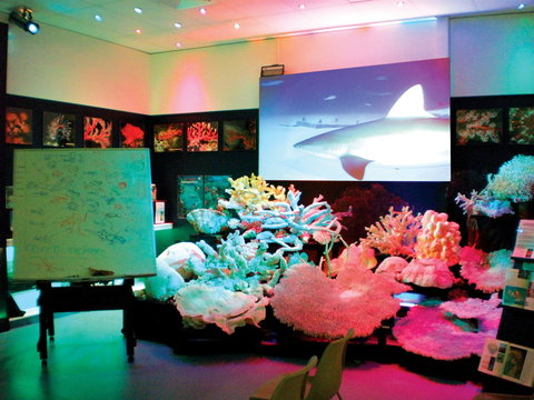 Marine Discovery Centre Hastings Point - Accommodation Coffs Harbour 0