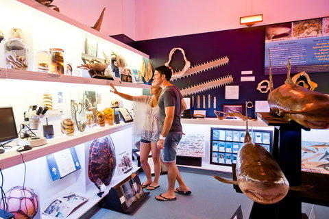 Marine Discovery Centre Hastings Point - Accommodation Coffs Harbour 1