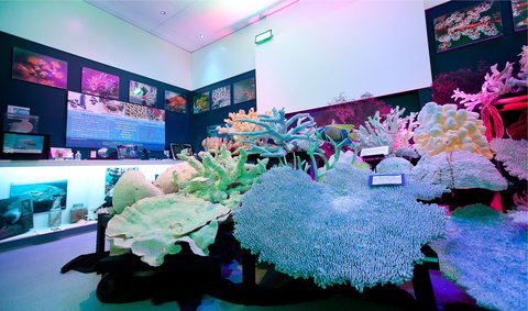 Marine Discovery Centre Hastings Point - Accommodation Coffs Harbour 2