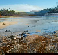 Merrica River Nature Trail - Accommodation Coffs Harbour