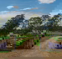 Moorebank Vineyard - Accommodation Coffs Harbour