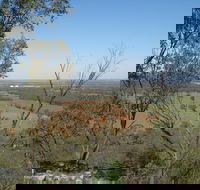 Mount Tilga - Accommodation Coffs Harbour