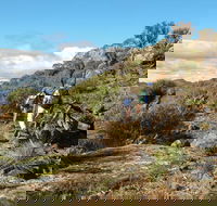 Mount Exmouth walking track - Accommodation Coffs Harbour