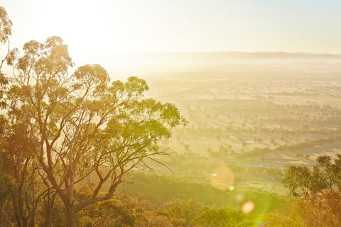Mt Glenrowan Lookout Walk - Accommodation Coffs Harbour 1