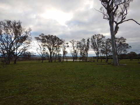 Murrumbateman - Accommodation Coffs Harbour 1