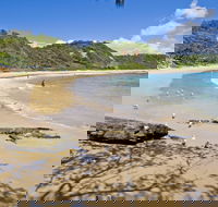 Nambucca Heads Beaches - Accommodation Coffs Harbour