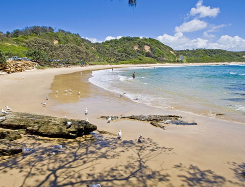 Nambucca Heads Beaches - Accommodation Coffs Harbour 0