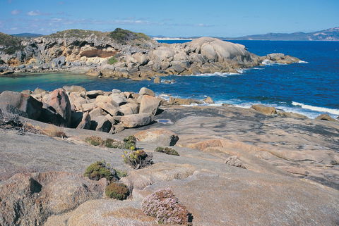 Nanarup Beach - Accommodation Coffs Harbour 1
