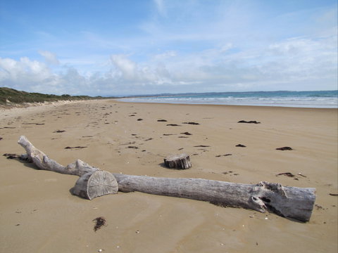 Narawntapu National Park - Accommodation Coffs Harbour 2