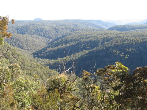Nattai Gorge Lookout - Accommodation Coffs Harbour 1