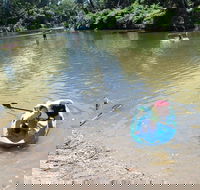Neurum Creek Campgrounds - Accommodation Coffs Harbour