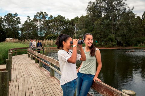 Newcastles Outdoor Adventures - Accommodation Coffs Harbour 2