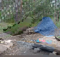 Northbrook Mountain Bush Camp - Accommodation Coffs Harbour