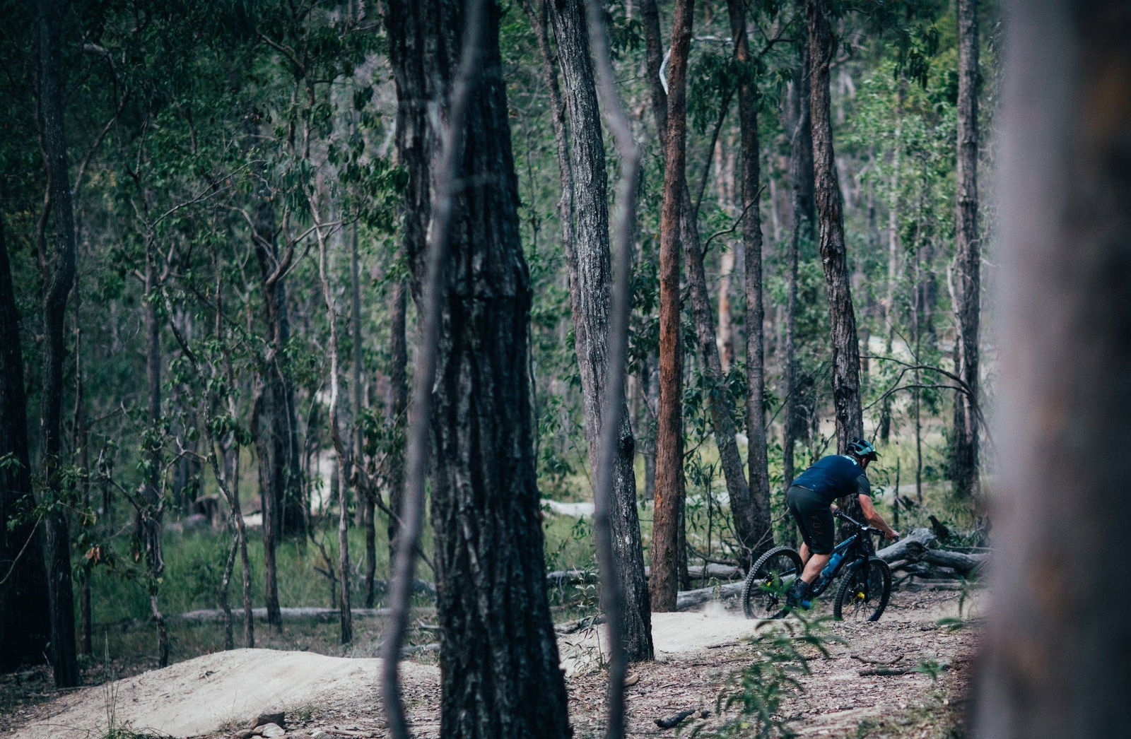 Wongawallan QLD Accommodation Coffs Harbour