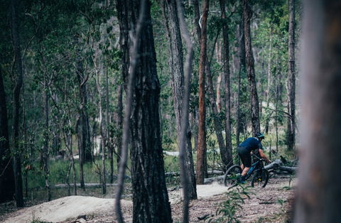 Old Tambo Downhill Mountain Bike Track - Accommodation Coffs Harbour 0