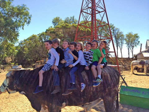 Outback Stockman's Show - Accommodation Coffs Harbour 1