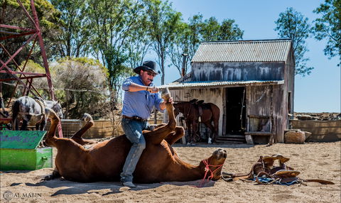 Outback Stockman's Show - Accommodation Coffs Harbour 2