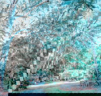 Phillips Gallery - Accommodation Coffs Harbour