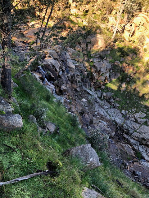 Pine Gully Nature Trail - Accommodation Coffs Harbour 0