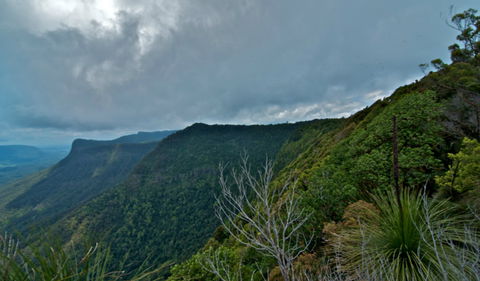 Pinnacle Walk And Lookout - Accommodation Coffs Harbour 0