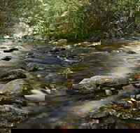 Plateau Circuit Loop Trail - Accommodation Coffs Harbour